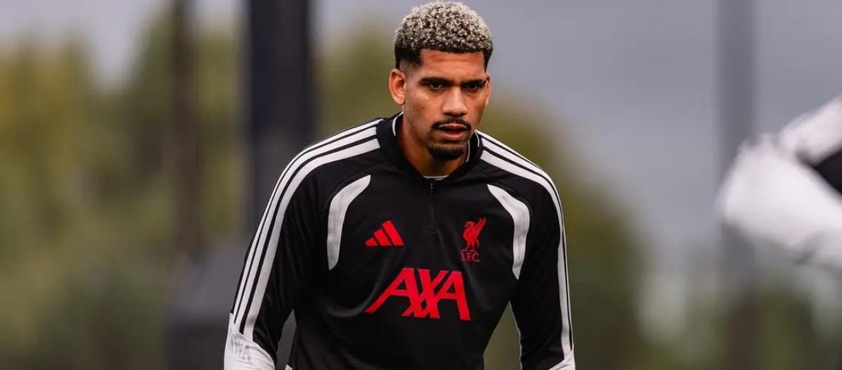 Araujo: I do nothing to respond to other people's criticisms.